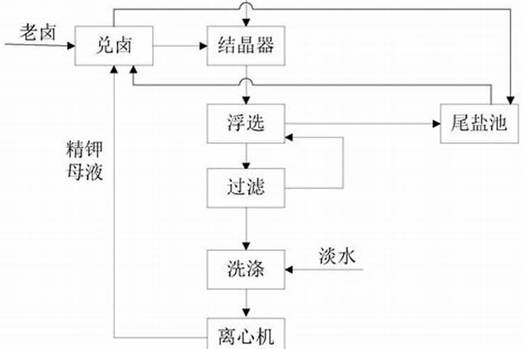 无尽夏一年开几次花