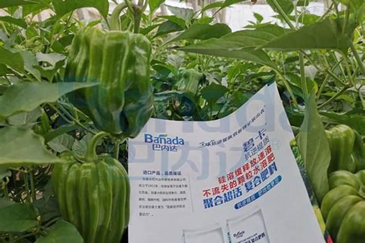 沼渣、沼液有哪些利用方式？