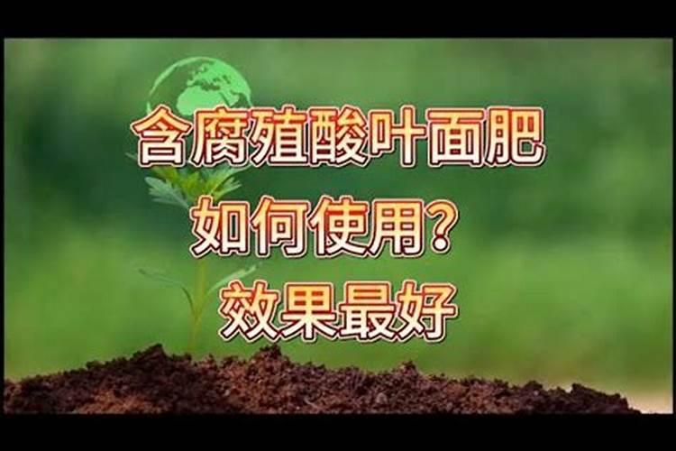 盆栽草莓施肥用什么肥料好