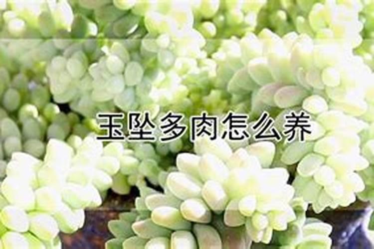 郑州富士康冠达花园小区周边配套怎么样？