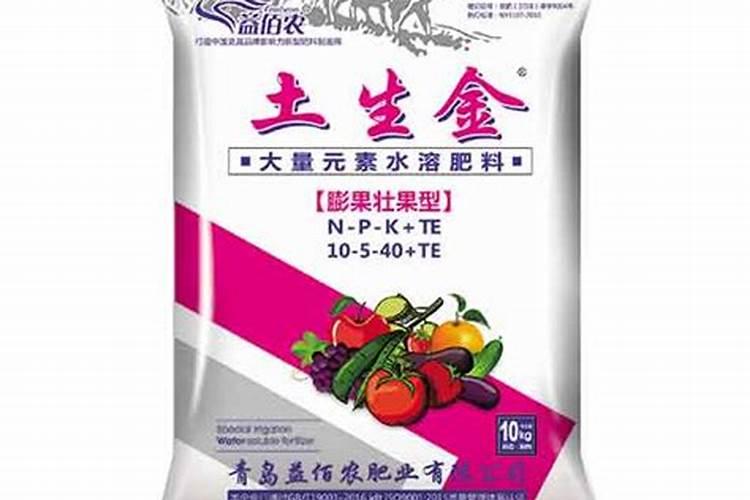 如何给月季花施肥