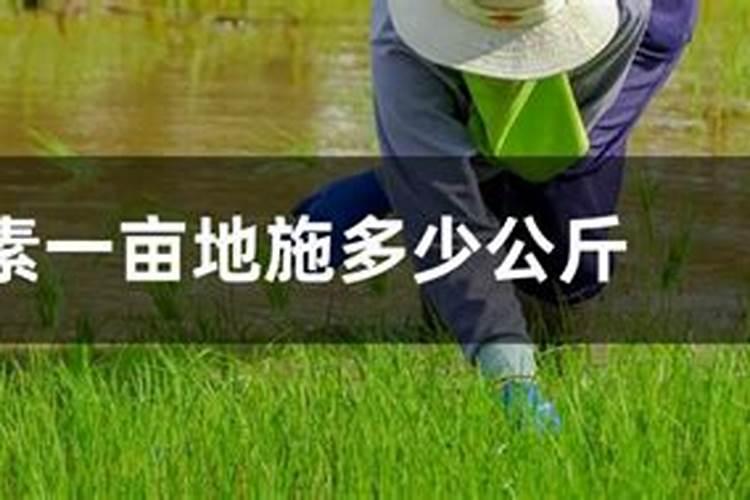 一亩青稞地需施肥多少 如何合理使用肥料