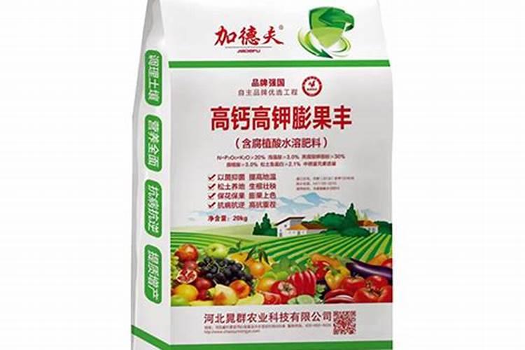 荔枝专用叶面肥什么好