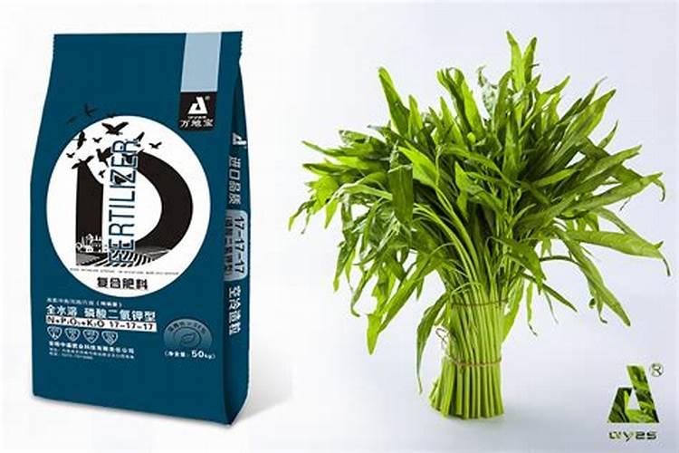 空心菜施什么肥长得快