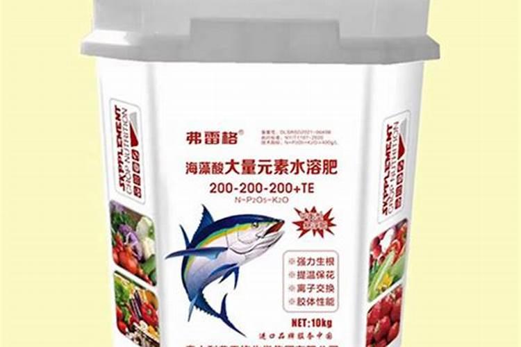 丝瓜施什么肥合适