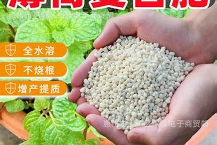 氨磷钾肥料对人有毒吗？