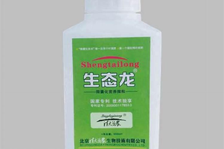 西瓜苗中午打蔫咋回事