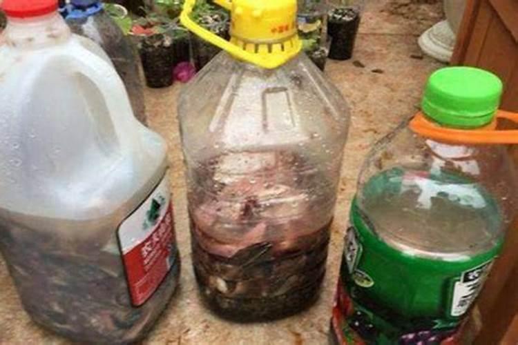 铁线莲花浇什么肥料合适