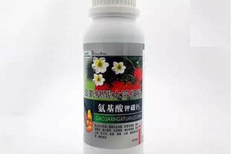 干燥裙带菜的营养价值