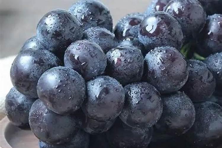 草莓要施什么肥料