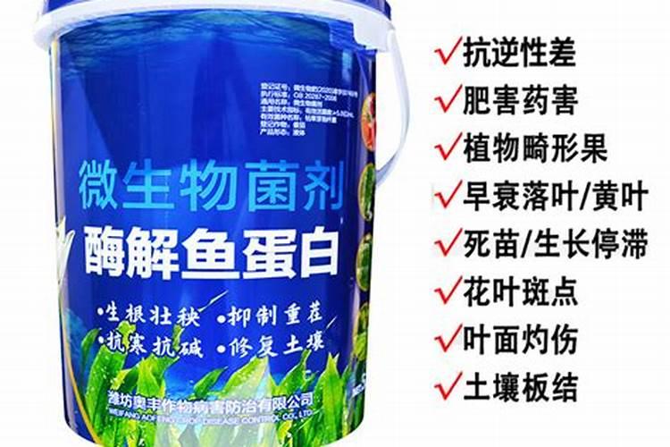 果树上什么肥料最好 果树专用肥有哪几种