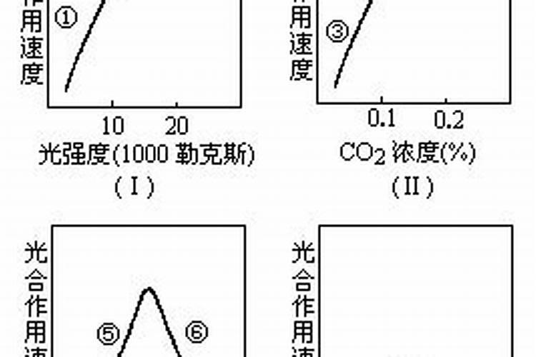 氨基酸叶面肥能控旺吗 氨基酸叶面肥如何控旺