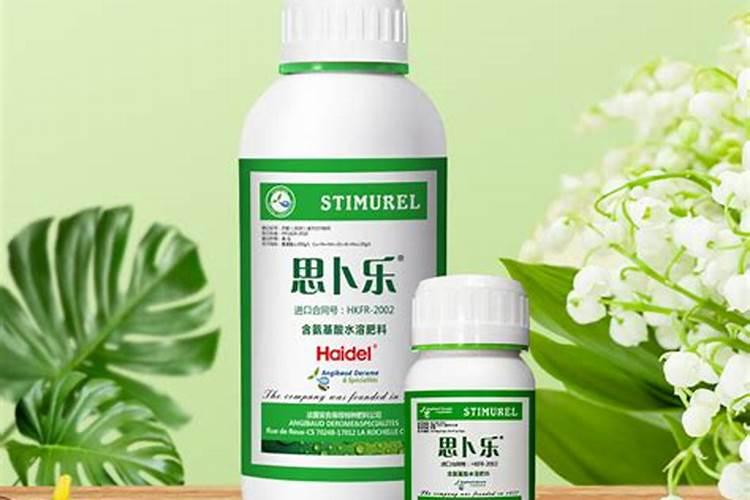 茄子秧矮小怎么回事？用什么微量元素水溶肥好？