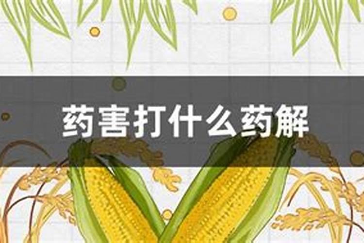 解肥害药害什么效果好