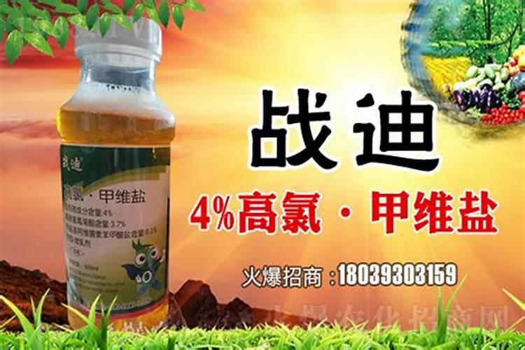 三角梅不开花施什么肥 怎么施肥效果好