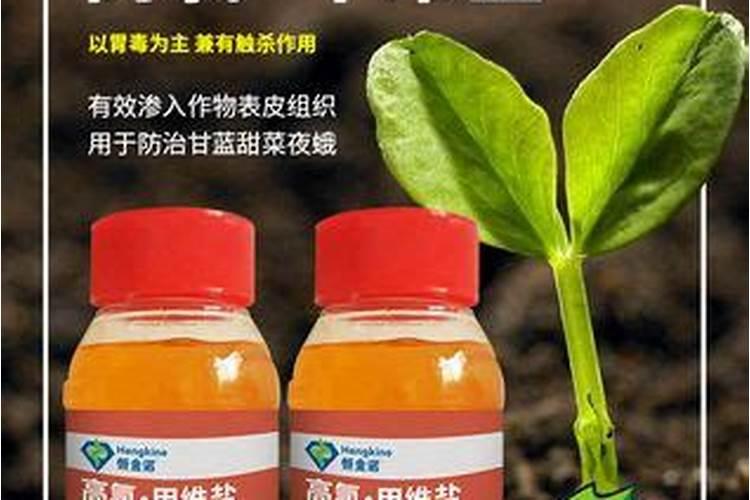 水稻3遍药怎么配