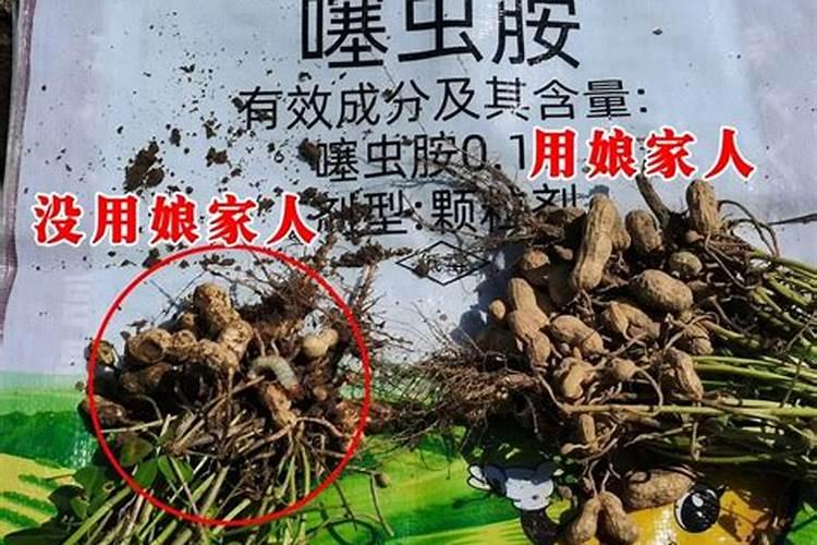 花生专用肥哪个品牌好