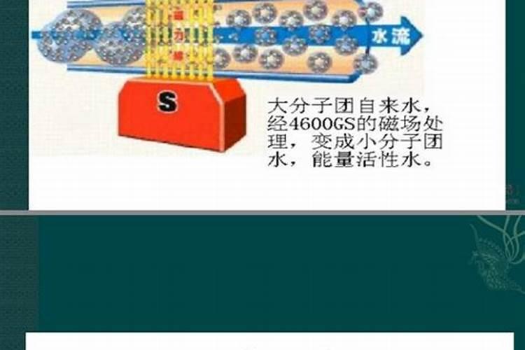 君子兰一个月浇一次水可以吗？