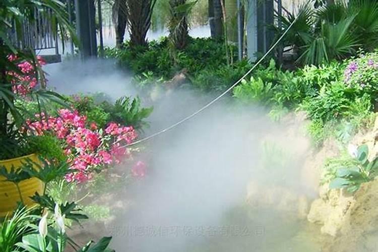 一般的大棚蔬菜用什么叶面肥、冲施肥好？!!