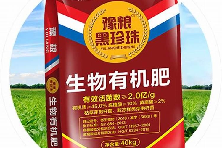 饲用、绿化、药用的白三叶种植介绍