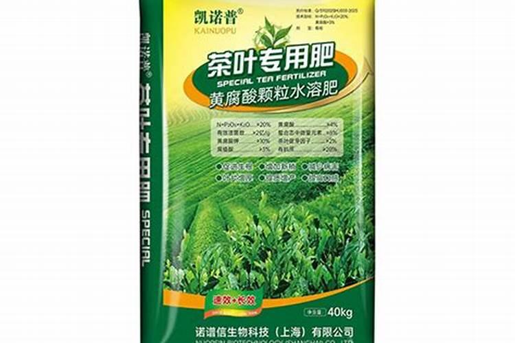 花盆如何施肥