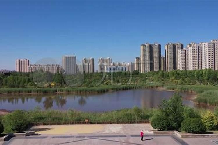 临沭喜乐丰化肥厂地址