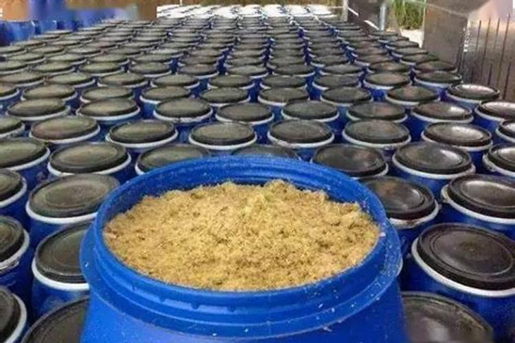 如果鱼买多了,是煮熟了放好,还是生着放好？