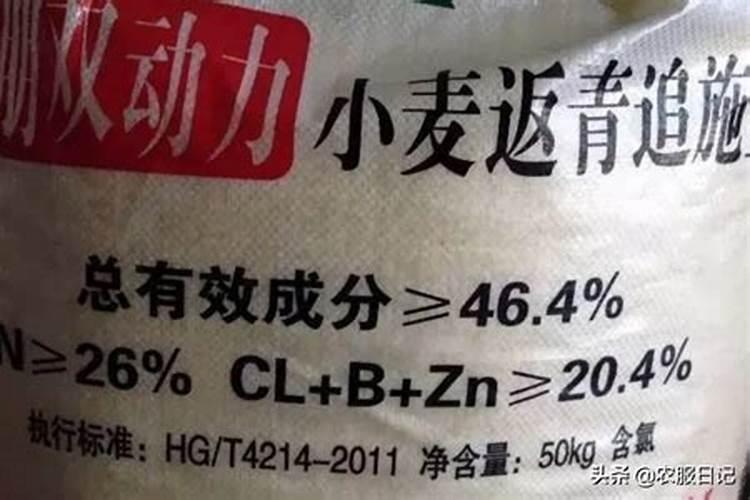 秋延後西红柿种植底肥都用什麽肥用量是多少
