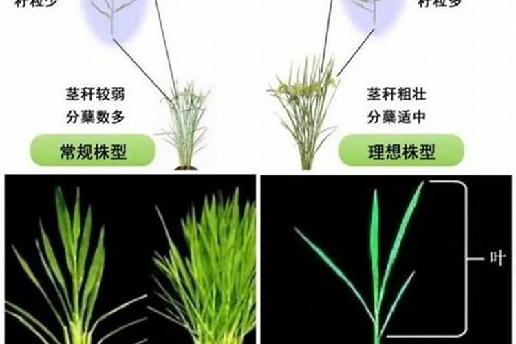 ...而磷肥的计算是按五氧化二磷计算的,钾是以氧化钾的形式计算百度知 ...