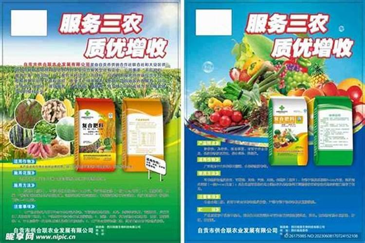 种植大姜怎么施肥好