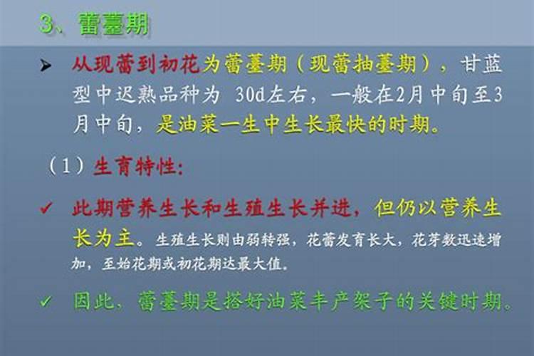 西瓜苗期用什么叶面肥