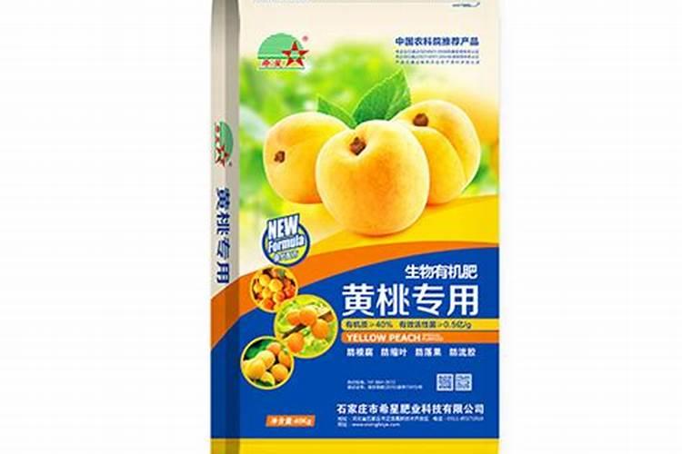 黄桃树怎么施肥最好