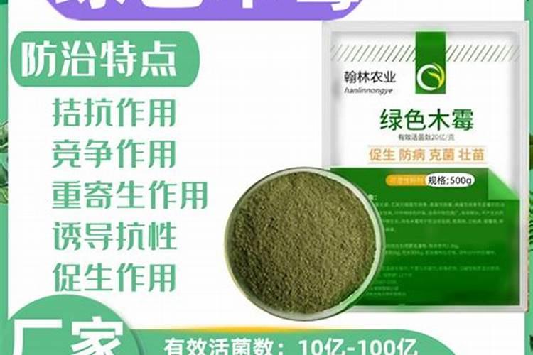 黄连种植条件