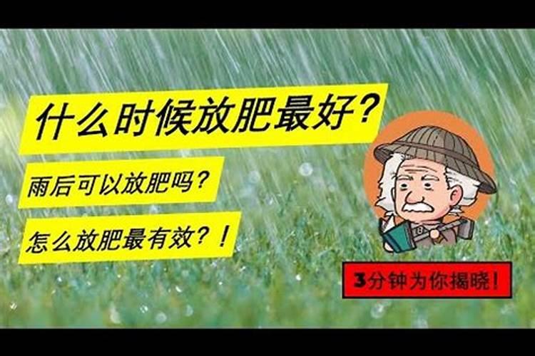 小雨可以撒施冲施肥吗？