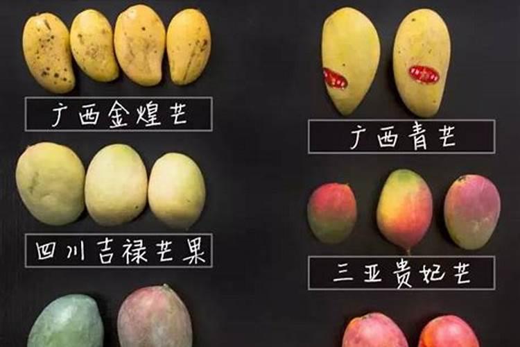 芒果施什么肥
