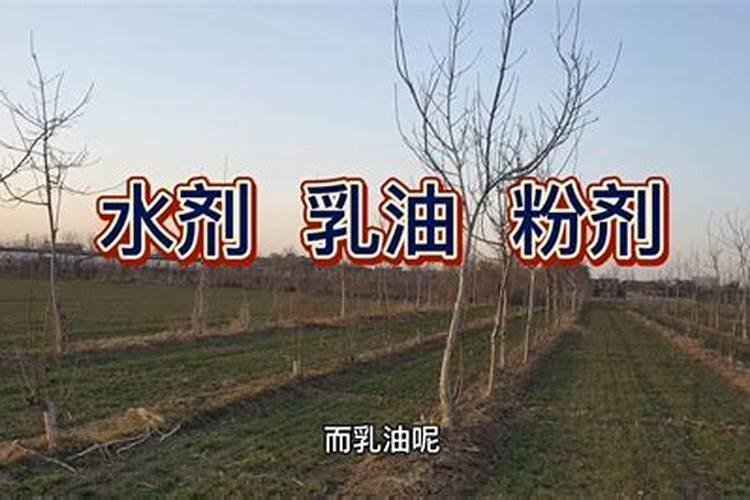芸苔素内脂,怎样辩别真伪？