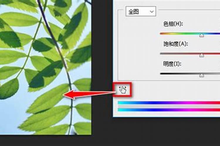 鱼蛋白水溶肥可以浇什么花？