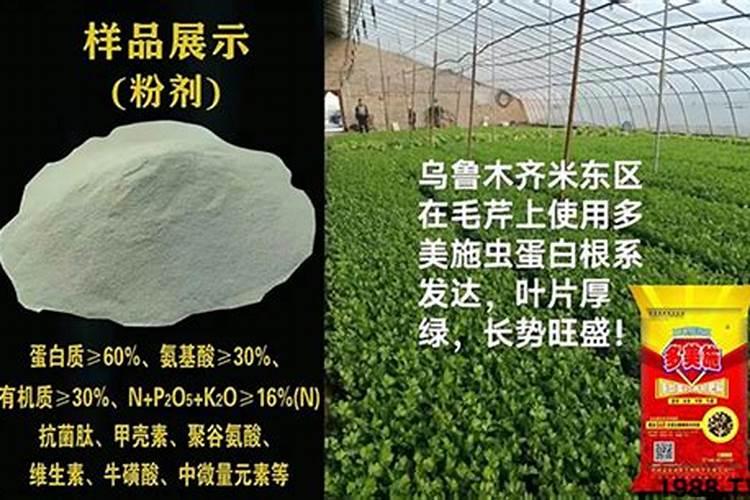 豆芽增粗最佳方法