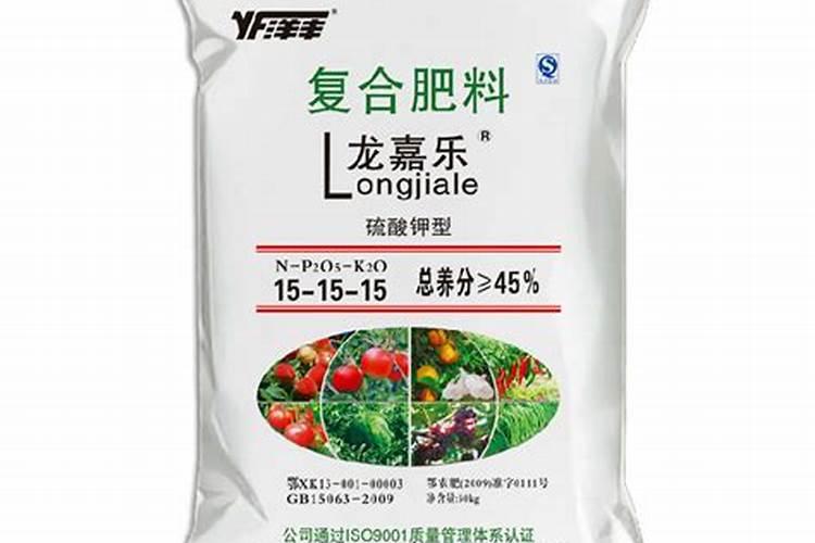 养海藻球需要注意什么