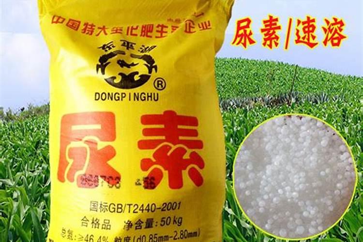 月季用尿素好还是复合肥好