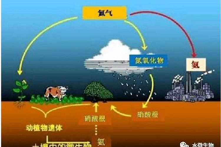 液氮冷冻治疗跖疣过程