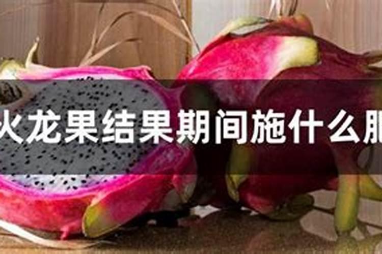 火龙果促花方法与人工催花技巧