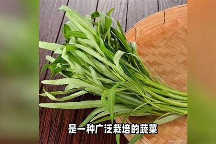 水栽培空心菜主要那一种肥
