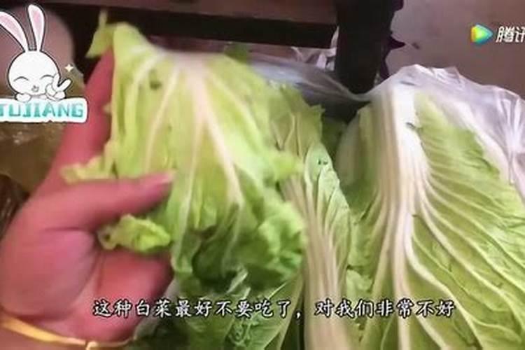 白菜得了软腐病怎么办
