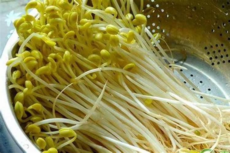 水稻硅肥正确使用方法 什么时候使用效果好