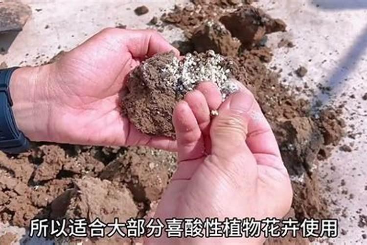 以简单的方式自制氮肥该怎么做