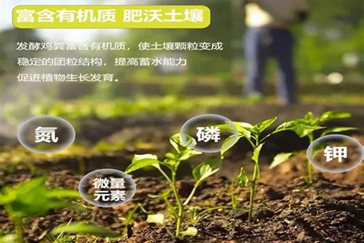 果树使用什么肥料方可使果子变得又大又甜？