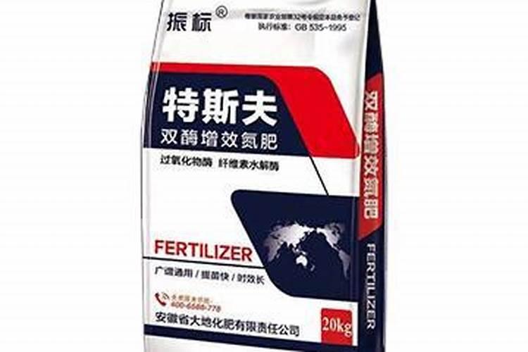 海藻怎么养长的好