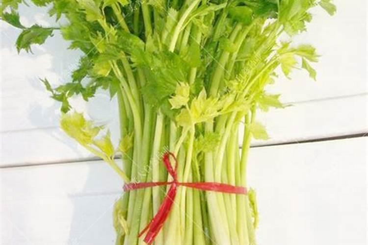 怎样种植和管理芹菜？
