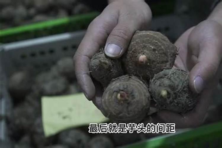 清原满族自治县宏运有机肥有限公司怎么样？
